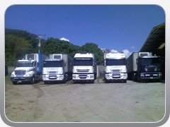 camiones-de-carga